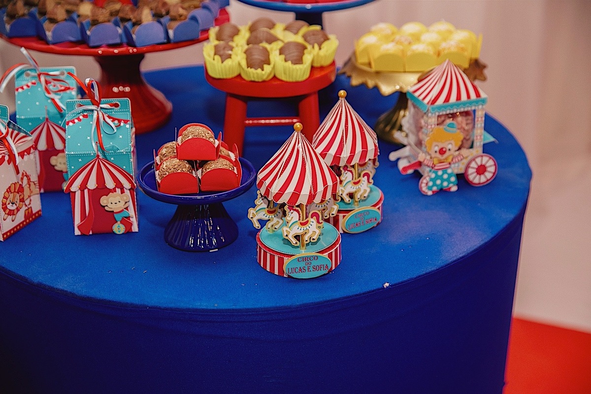 aniversario - aniversario infantil - aniversario duplo - tema circo - aniversario de gemeos - jaragua do sul - chroma fotografia