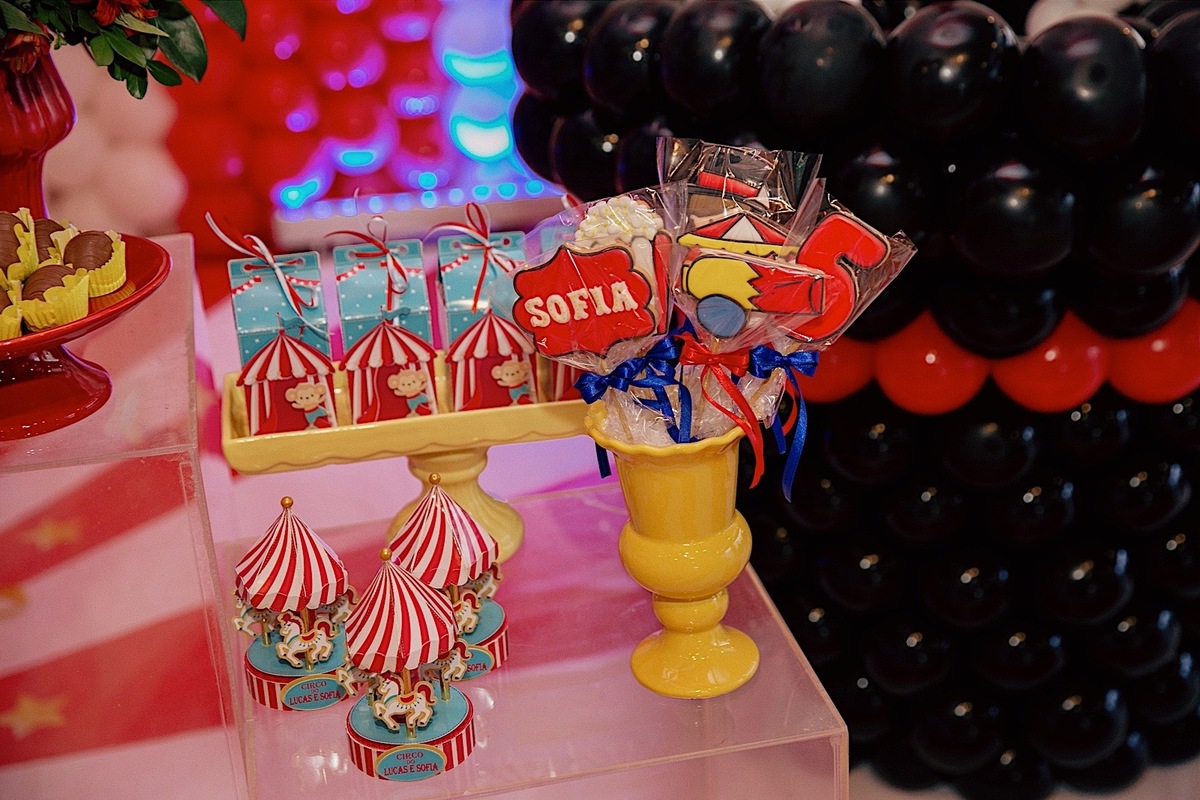 aniversario - aniversario infantil - aniversario duplo - tema circo - aniversario de gemeos - jaragua do sul - chroma fotografia