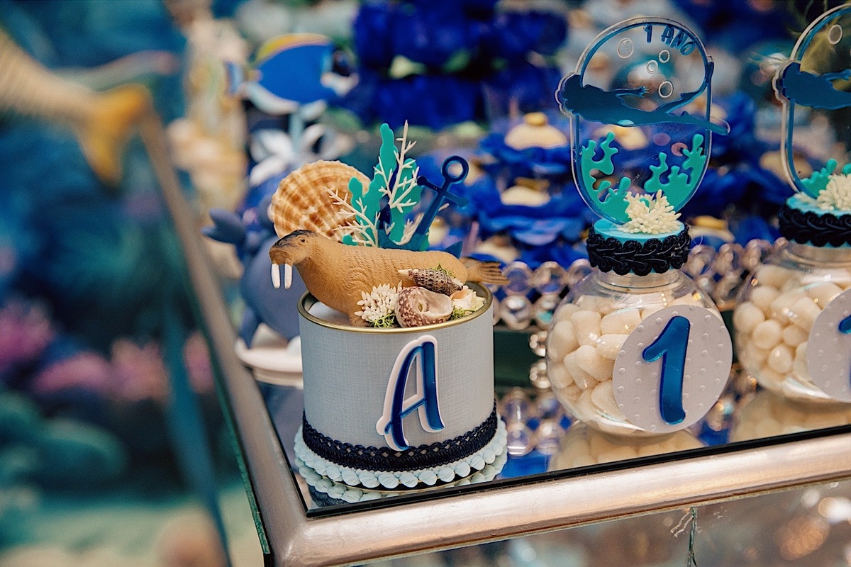 aniversario - aniversario infantil - tema fundo do mar - aniversario de 1 ano - Armani 1 ano - aniversario no quintal vip - aniversario em jaragua do sul - fotografos jaragua do sul - chroma fotografia