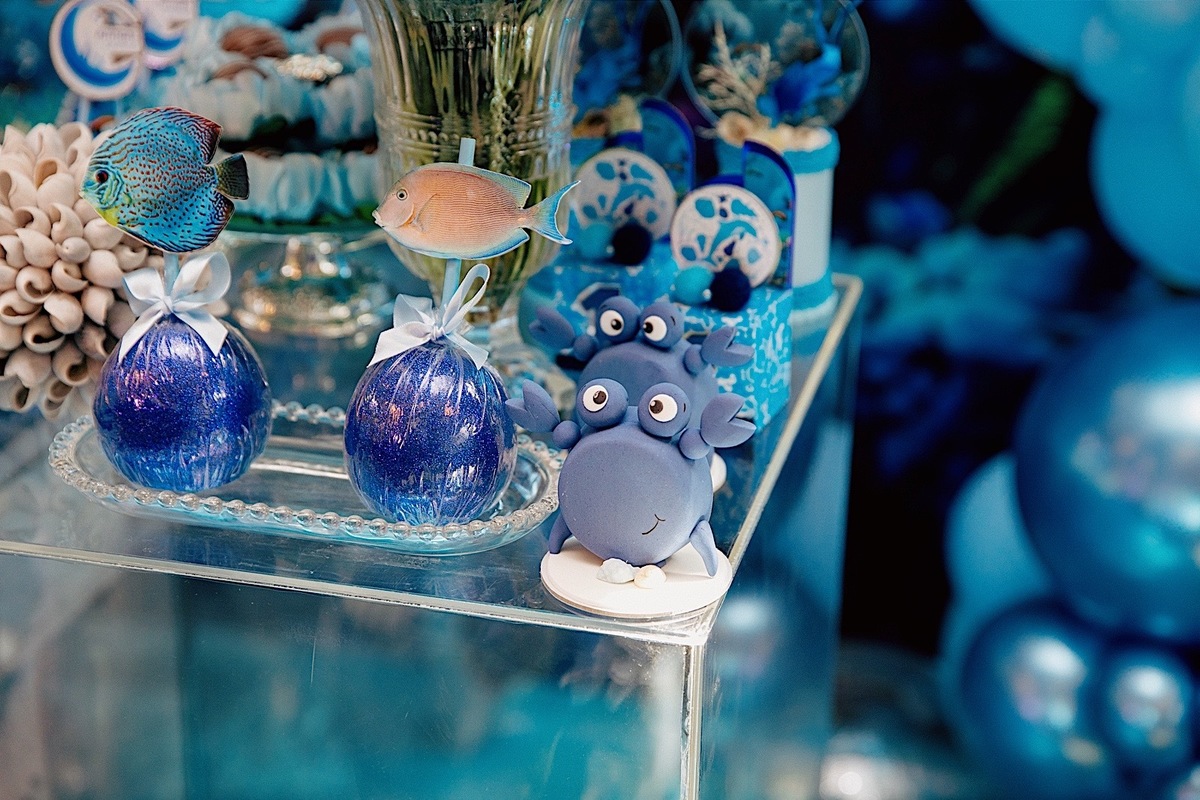 aniversario - aniversario infantil - tema fundo do mar - aniversario de 1 ano - Armani 1 ano - aniversario no quintal vip - aniversario em jaragua do sul - fotografos jaragua do sul - chroma fotografia