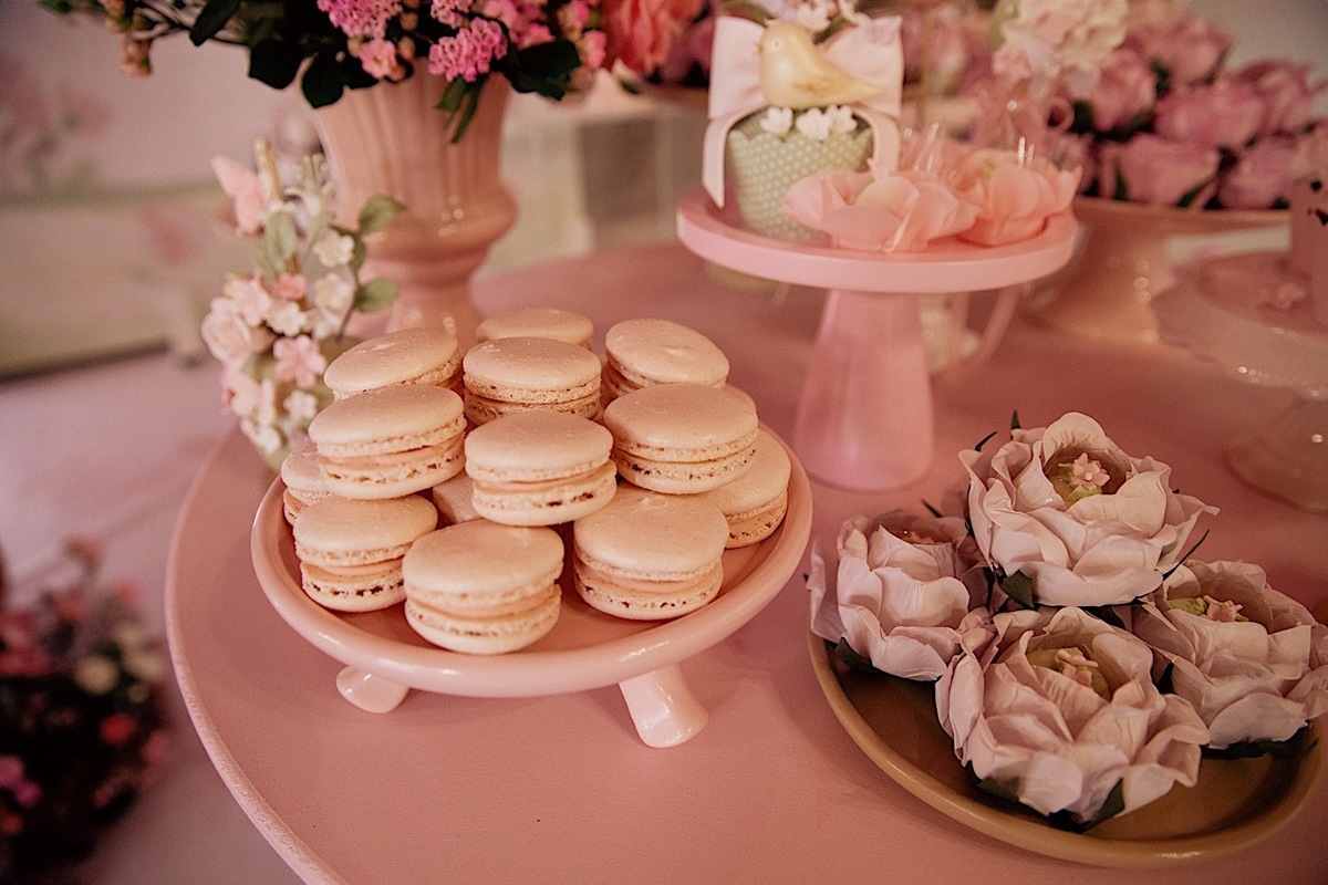 aniversario - aniversario 1 ano - aniversario infantil - festa de aniversario - Liz primeiro aninho - aniversario em jaragua do sul - chroma fotografia