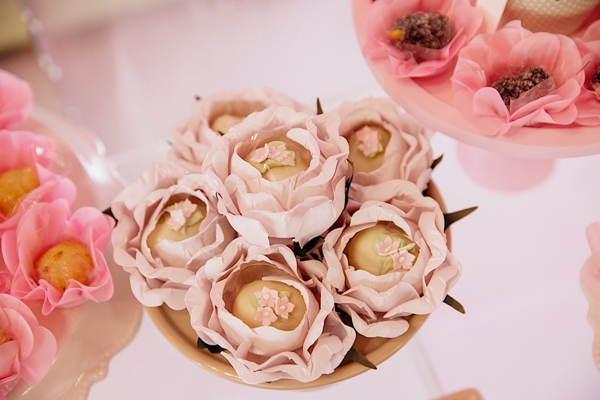 aniversario - aniversario 1 ano - aniversario infantil - festa de aniversario - Liz primeiro aninho - aniversario em jaragua do sul - chroma fotografia