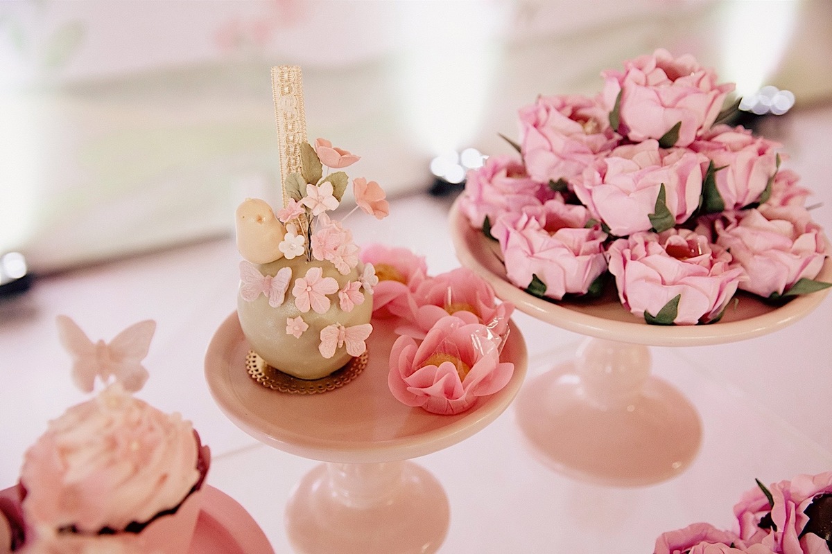 aniversario - aniversario 1 ano - aniversario infantil - festa de aniversario - Liz primeiro aninho - aniversario em jaragua do sul - chroma fotografia