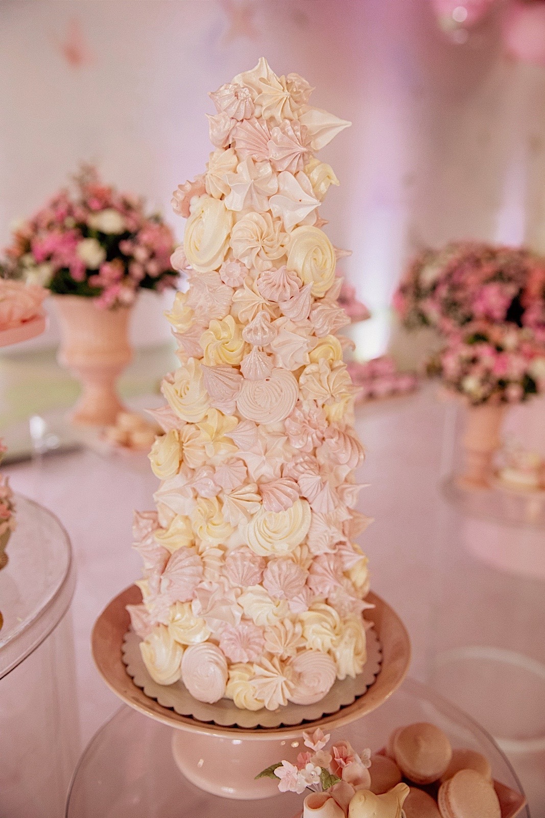 aniversario - aniversario 1 ano - aniversario infantil - festa de aniversario - Liz primeiro aninho - aniversario em jaragua do sul - chroma fotografia