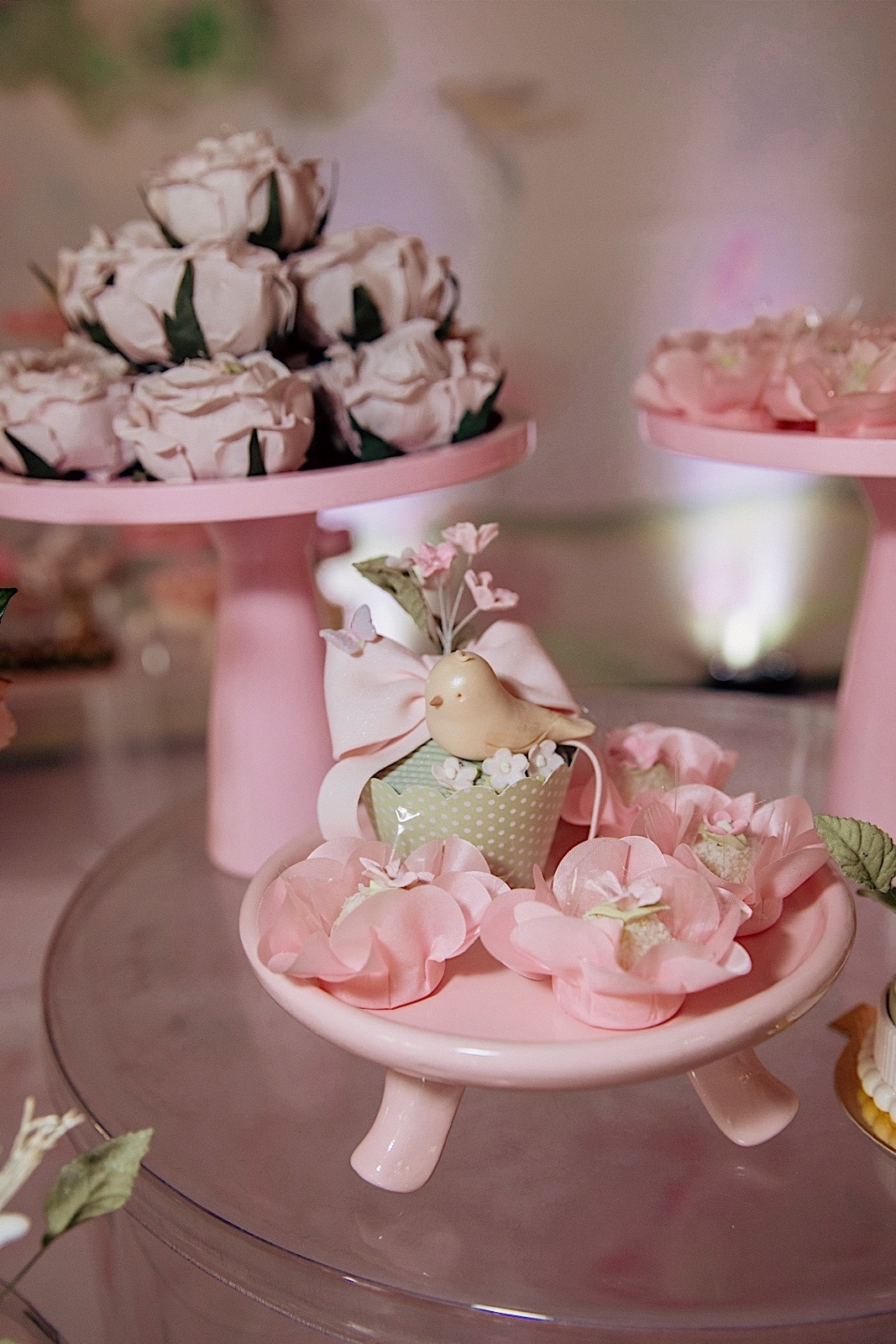 aniversario - aniversario 1 ano - aniversario infantil - festa de aniversario - Liz primeiro aninho - aniversario em jaragua do sul - chroma fotografia