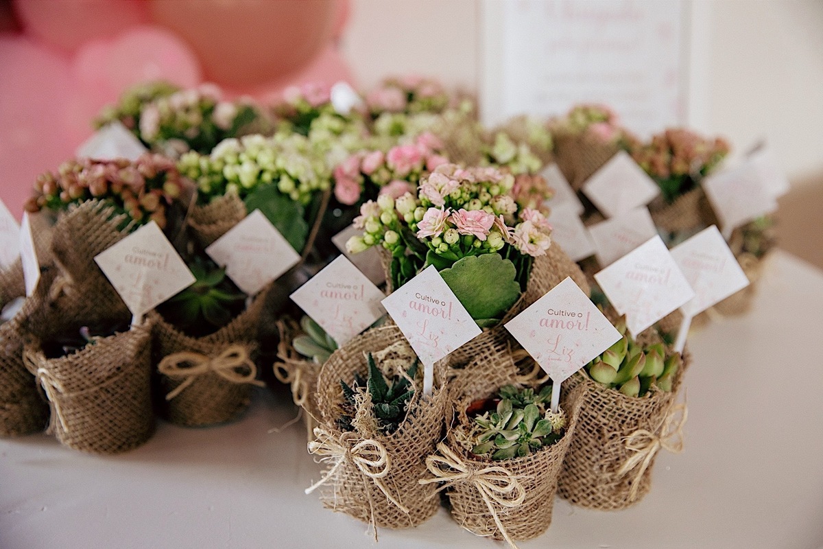 aniversario - aniversario 1 ano - aniversario infantil - festa de aniversario - Liz primeiro aninho - aniversario em jaragua do sul - chroma fotografia