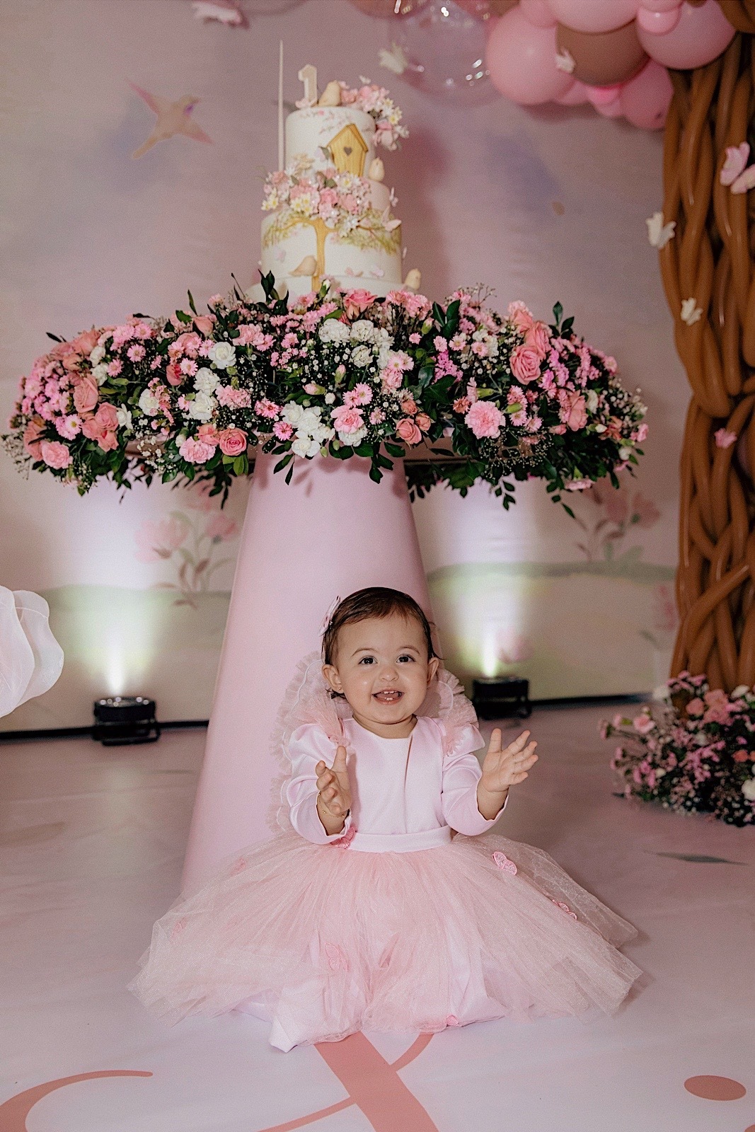 aniversario - aniversario 1 ano - aniversario infantil - festa de aniversario - Liz primeiro aninho - aniversario em jaragua do sul - chroma fotografia