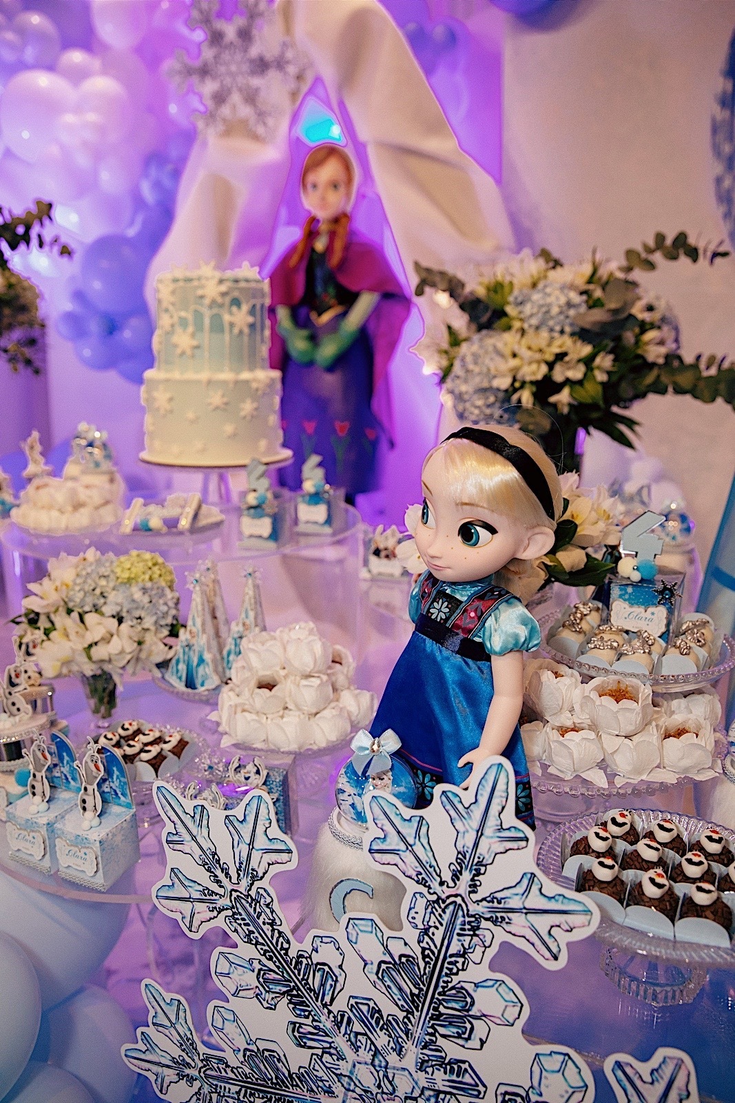 aniversario - aniversario infantil - tema frozen - Clara 4 anos - fotografos jaragua do sul - fotografia infantil - chroma fotografia