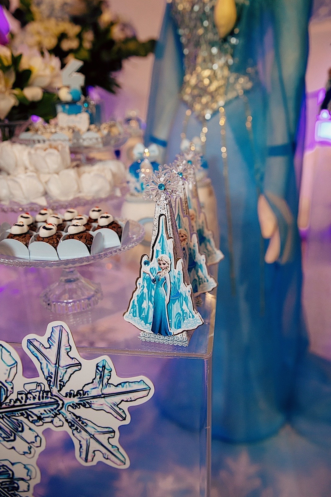 aniversario - aniversario infantil - tema frozen - Clara 4 anos - fotografos jaragua do sul - fotografia infantil - chroma fotografia