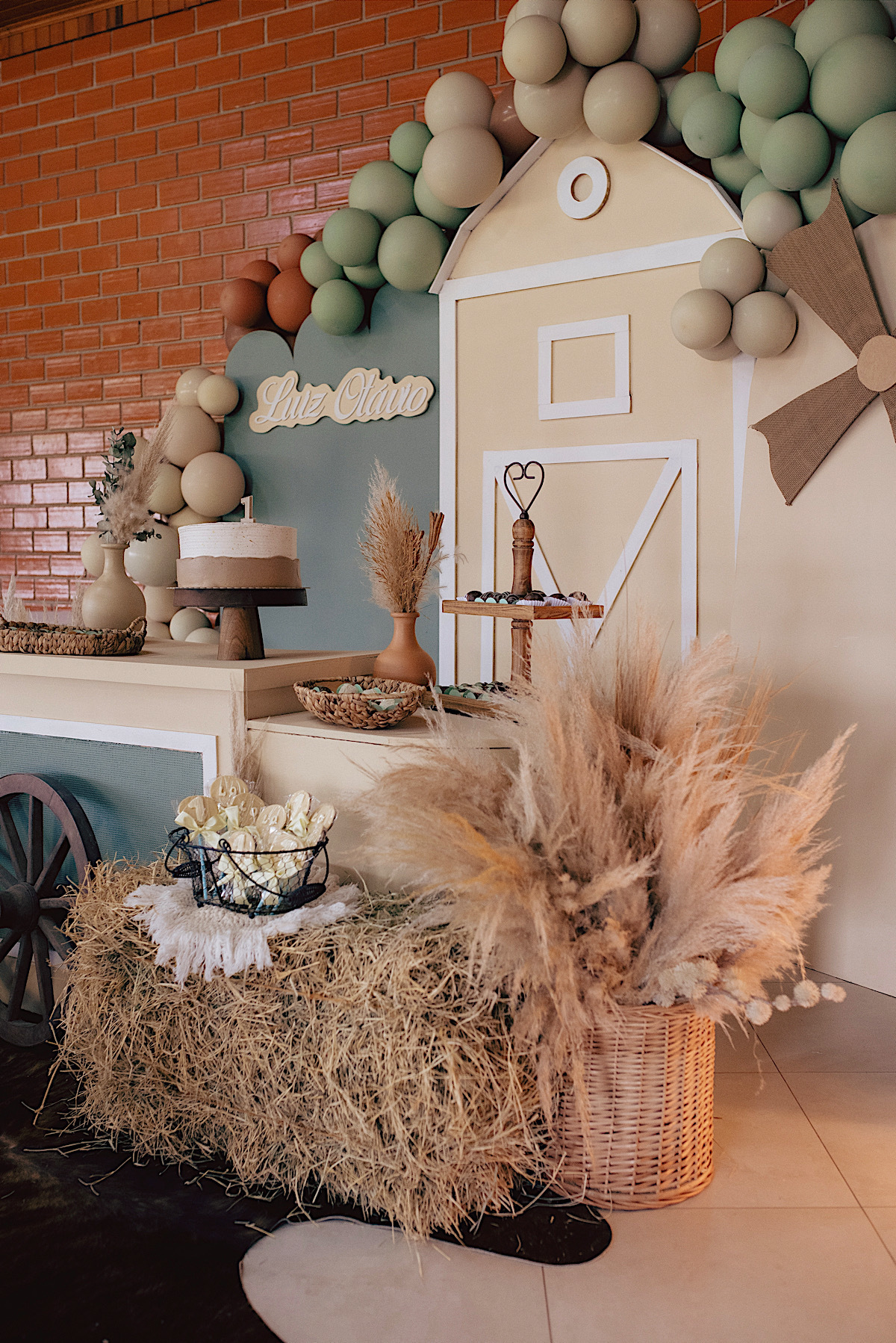 aniversario - leo netto - decoracao - luiz otavio - um aninho - sao bento do sul - chroma fotografia