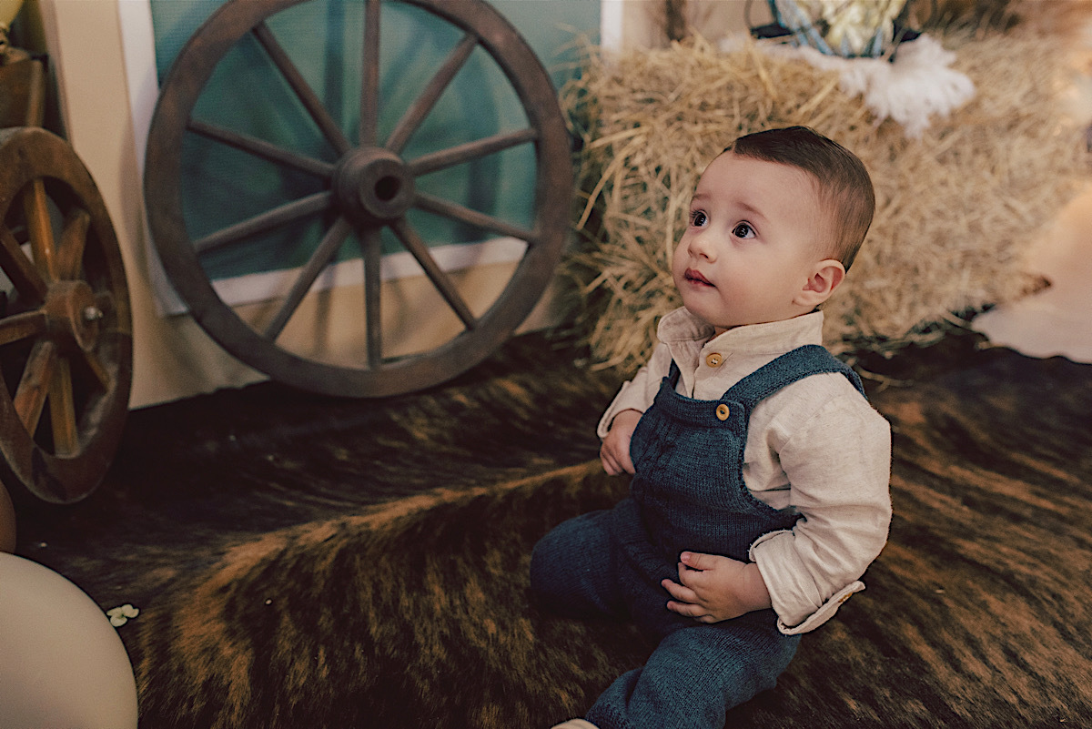 aniversario - leo netto - decoracao - luiz otavio - um aninho - sao bento do sul - chroma fotografia