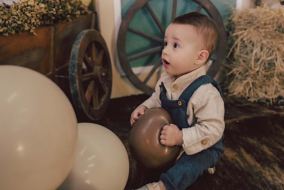 aniversario - leo netto - decoracao - luiz otavio - um aninho - sao bento do sul - chroma fotografia