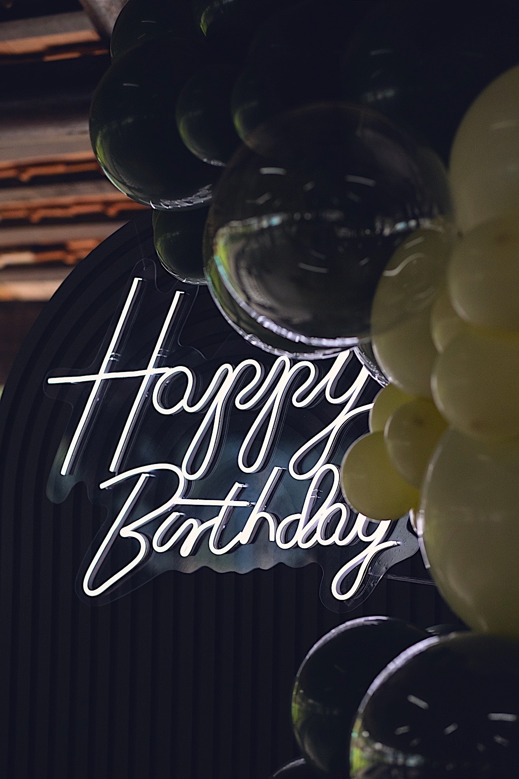  aniversario - aniversario de adulto - festa de aniversario - festa dupla - Mayra e Deivid - fotografia de familia - fotografia social - fotografos jaragua do sul - chroma fotografia 