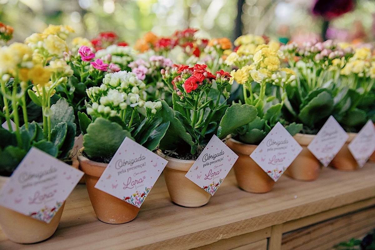 aniversario - aniversario infantil - lara primeiro aninho - aniversario de primeiro aninho - fotografia infantil - fotografos jaragua do sul - festa de aniversario - chroma fotografia - jaragua do sul