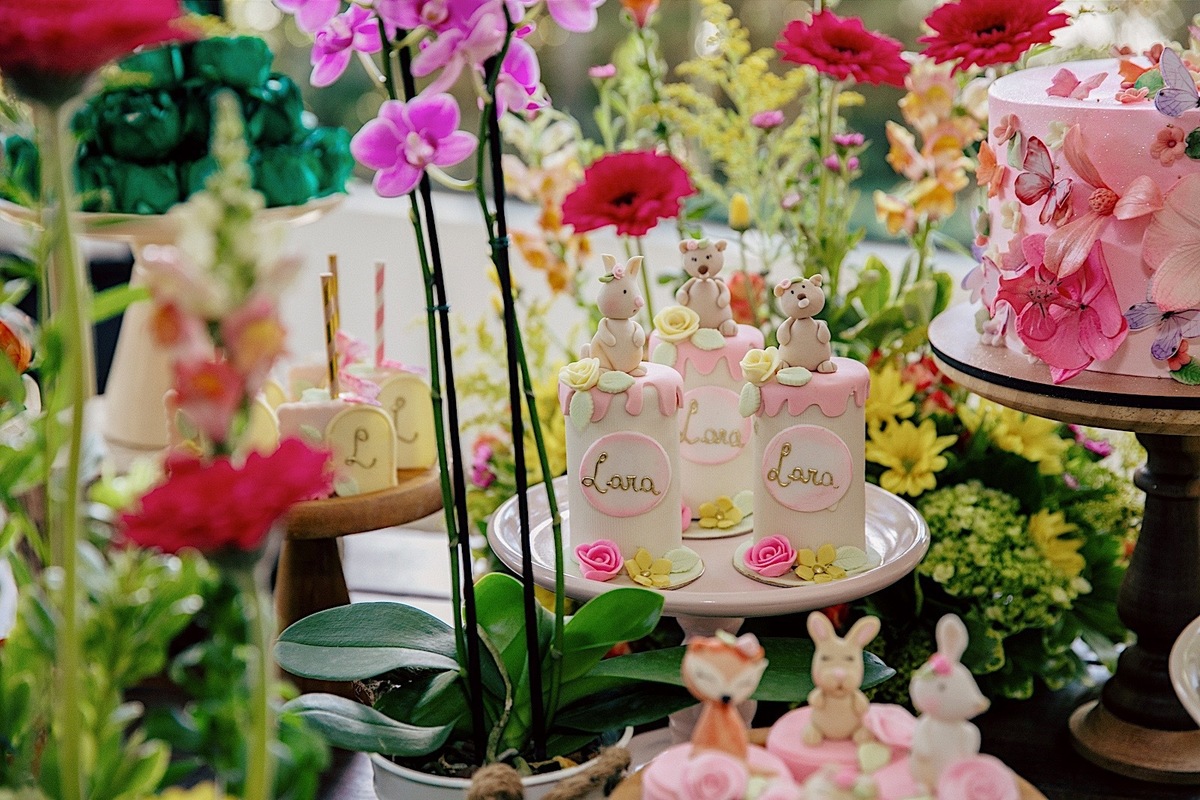 aniversario - aniversario infantil - lara primeiro aninho - aniversario de primeiro aninho - fotografia infantil - fotografos jaragua do sul - festa de aniversario - chroma fotografia - jaragua do sul