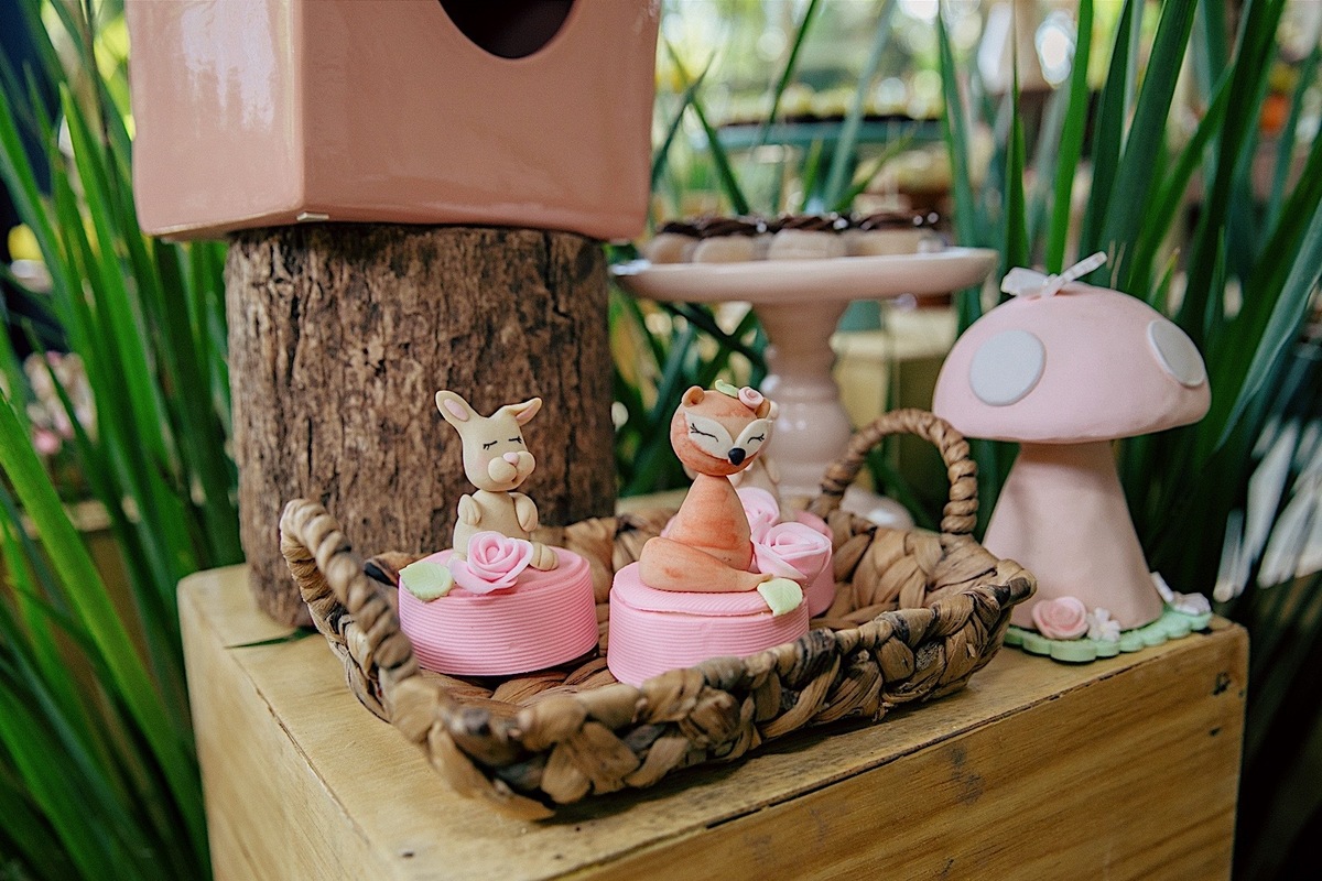 aniversario - aniversario infantil - lara primeiro aninho - aniversario de primeiro aninho - fotografia infantil - fotografos jaragua do sul - festa de aniversario - chroma fotografia - jaragua do sul