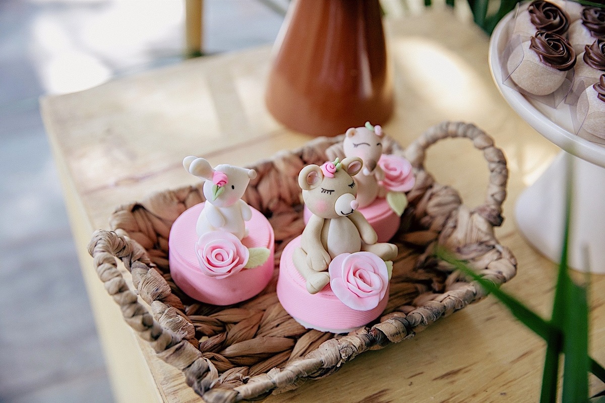 aniversario - aniversario infantil - lara primeiro aninho - aniversario de primeiro aninho - fotografia infantil - fotografos jaragua do sul - festa de aniversario - chroma fotografia - jaragua do sul