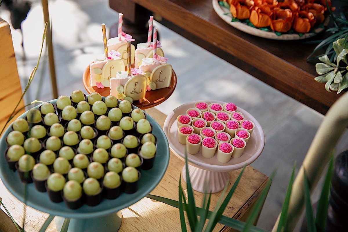 aniversario - aniversario infantil - lara primeiro aninho - aniversario de primeiro aninho - fotografia infantil - fotografos jaragua do sul - festa de aniversario - chroma fotografia - jaragua do sul