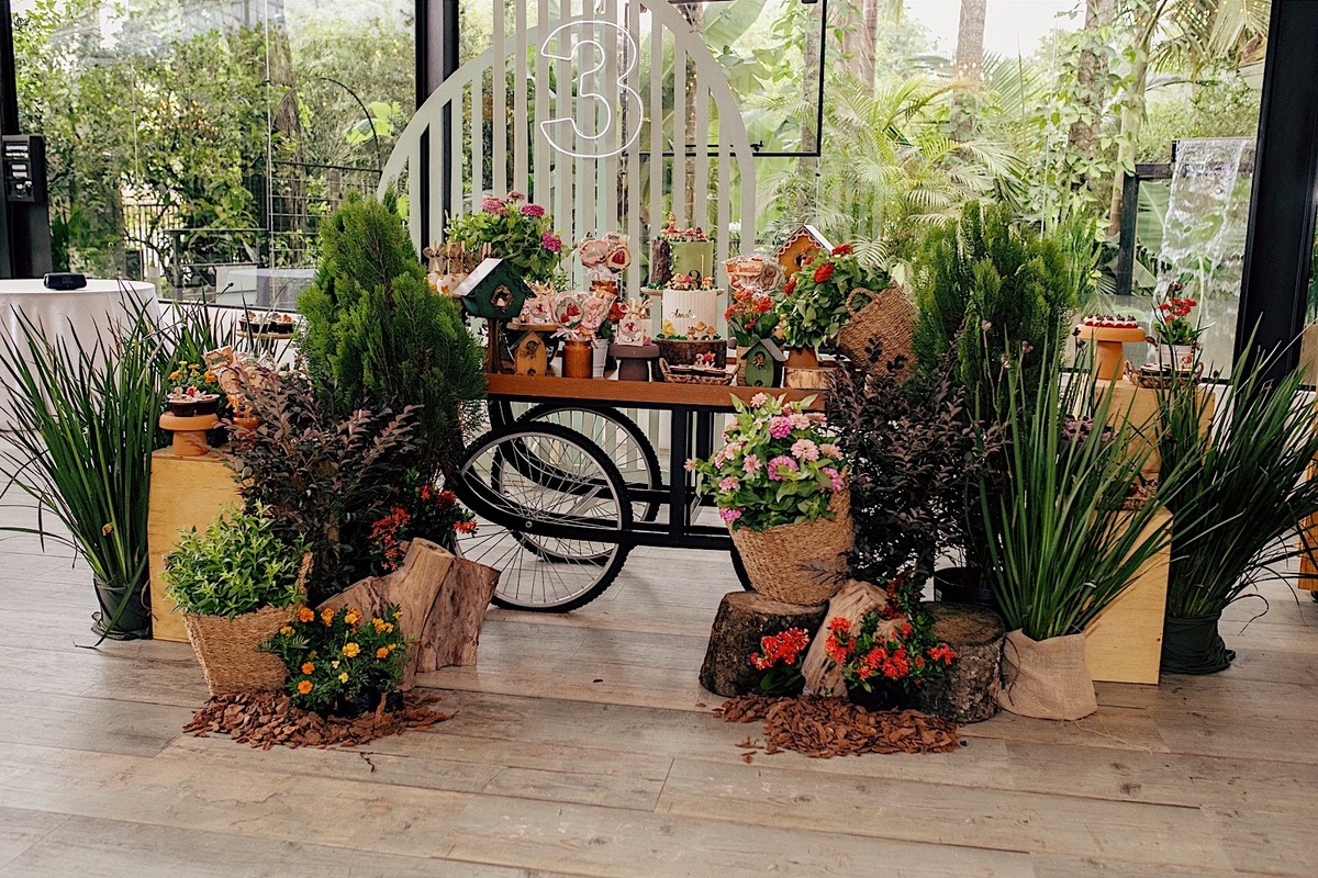 aniversario - aniversario infantil - festa de aniversario - aniversario de 3 anos - amalia 3 anos - fotografos jaragua do sul - fotografia infantil - jaragua do sul - chroma fotografia