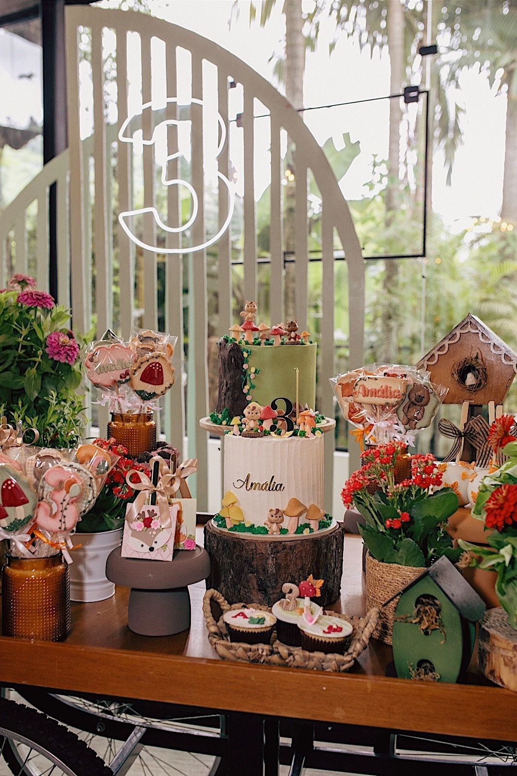 aniversario - aniversario infantil - festa de aniversario - aniversario de 3 anos - amalia 3 anos - fotografos jaragua do sul - fotografia infantil - jaragua do sul - chroma fotografia