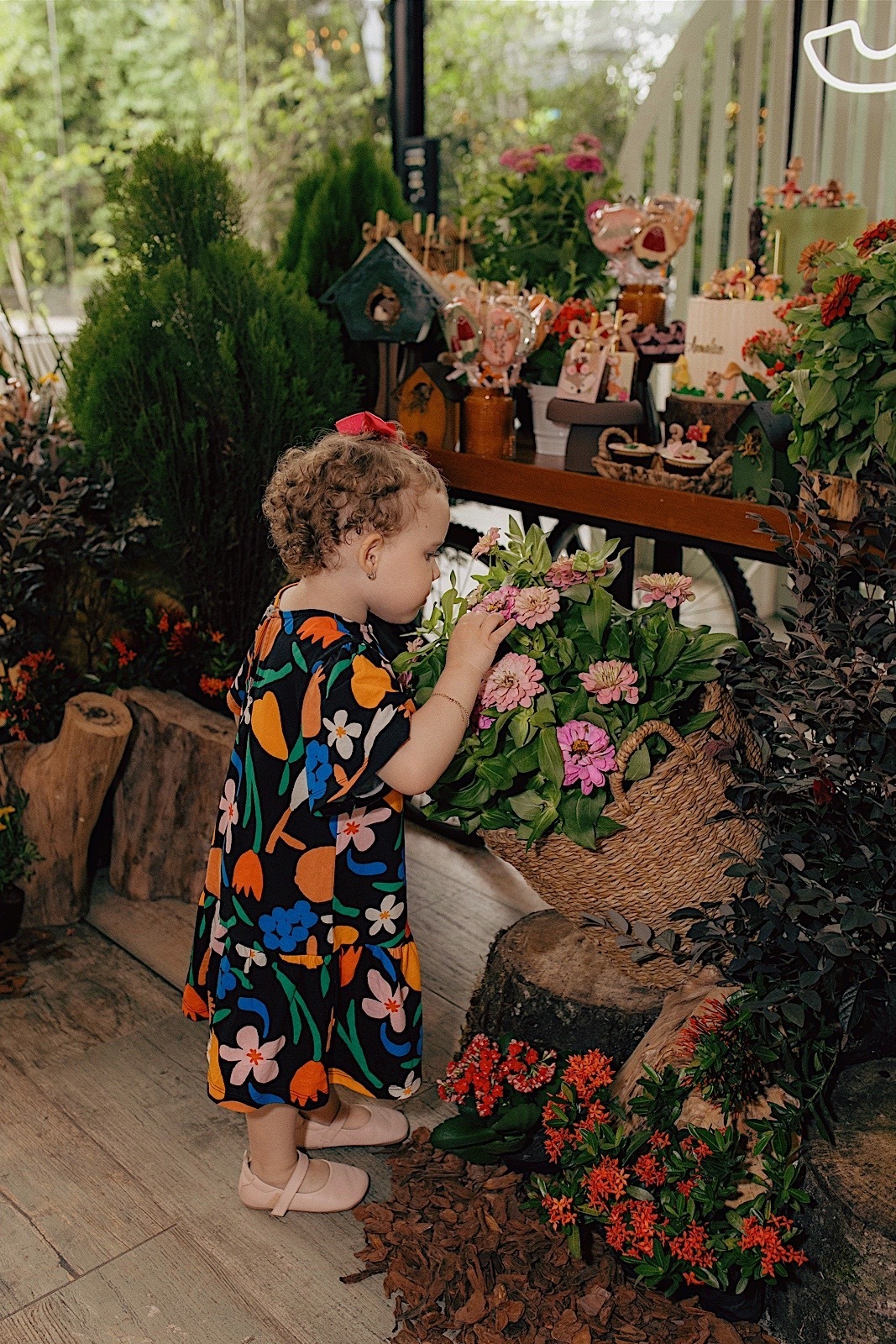 aniversario - aniversario infantil - festa de aniversario - aniversario de 3 anos - amalia 3 anos - fotografos jaragua do sul - fotografia infantil - jaragua do sul - chroma fotografia