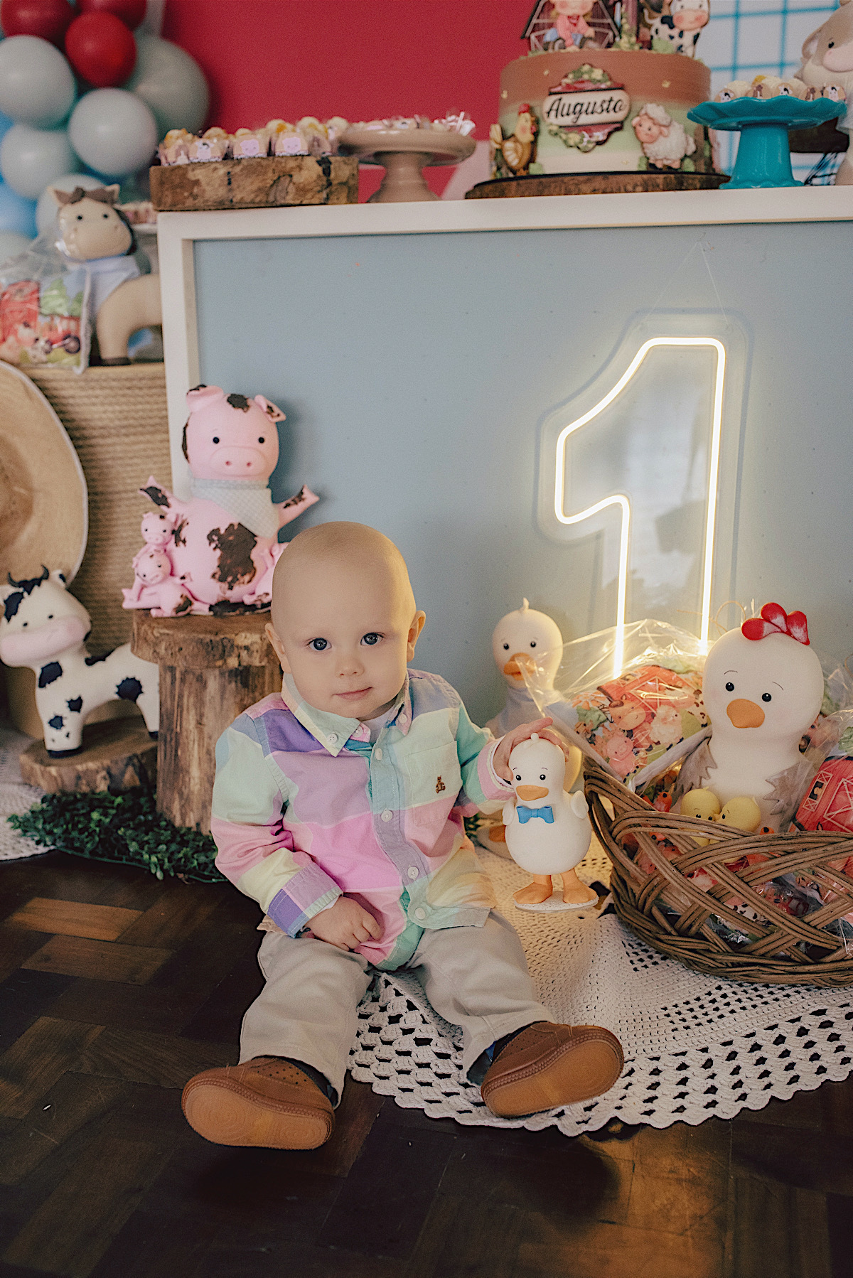 augusto - fazendinha - ginastico - sao bento do sul - um aninho - chroma fotografia