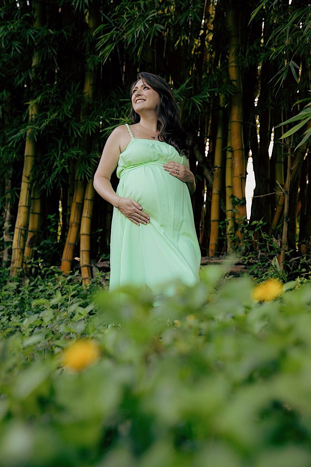 ensaio externo - ensaio gestante - ensaio familia - ensaio a espera de Caethano - gabi e familia - jaragua do sul - chroma fotografia