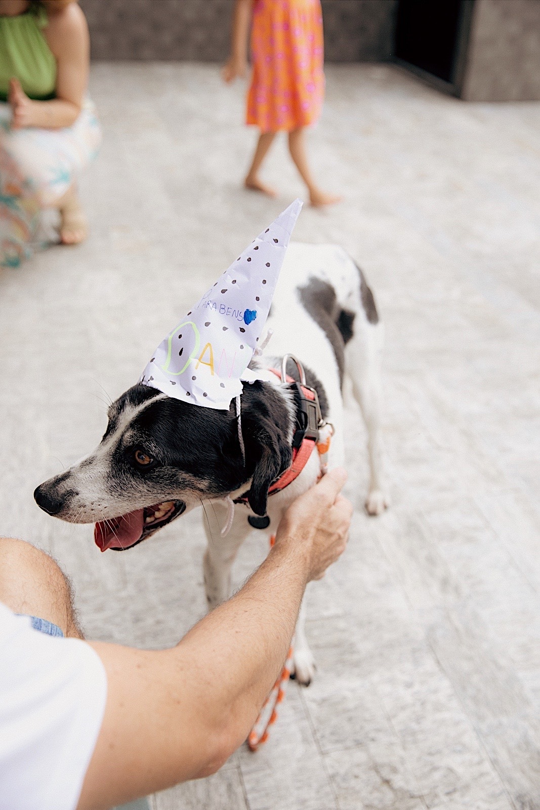 aniversario - aniversario infantil - daniel 2 anos - fotografia infantil - fotografos jaragua - fotografia de familia - jaragua do sul - chroma fotografia 