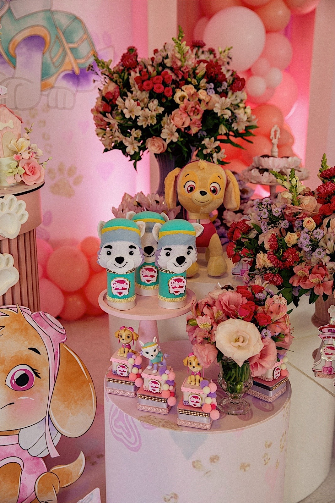 aniversario - aniversario infantil - festa de aniversario - fotografia infantil - fotografos jaragua do sul - tema patrulha canina - chroma fotografia 