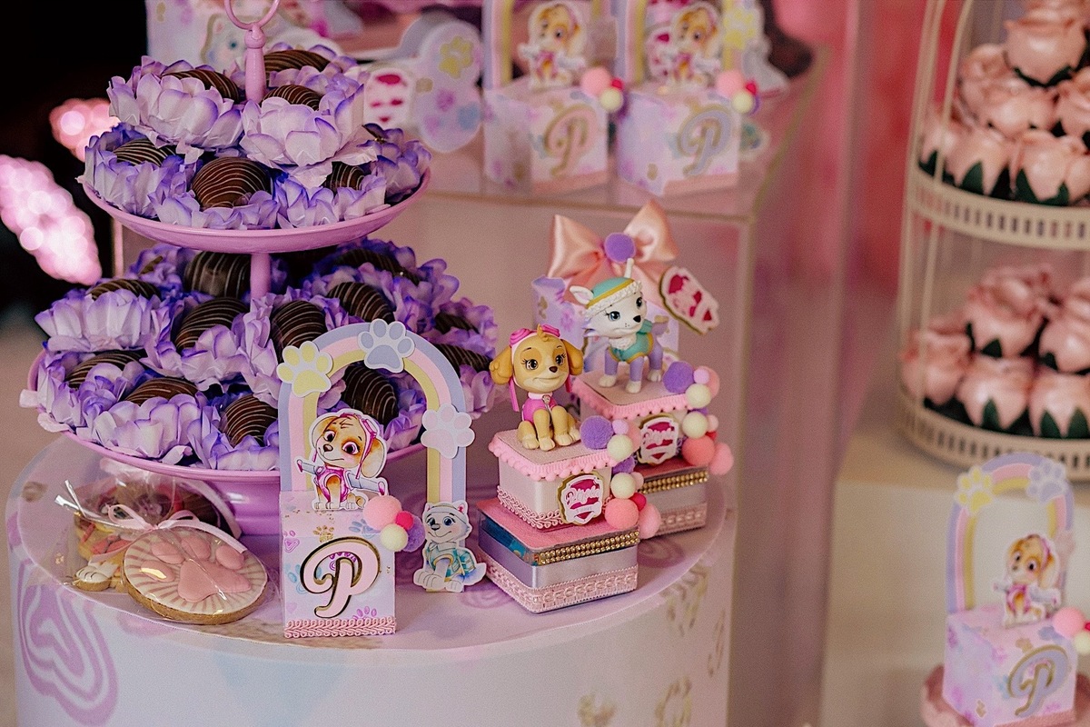 aniversario - aniversario infantil - festa de aniversario - fotografia infantil - fotografos jaragua do sul - tema patrulha canina - chroma fotografia 