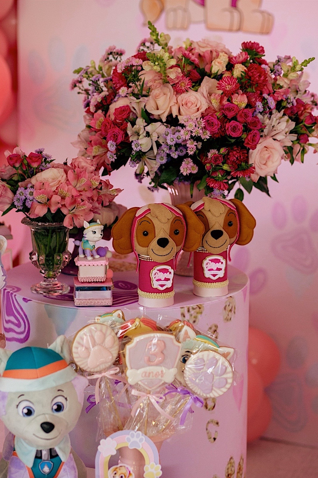 aniversario - aniversario infantil - festa de aniversario - fotografia infantil - fotografos jaragua do sul - tema patrulha canina - chroma fotografia 