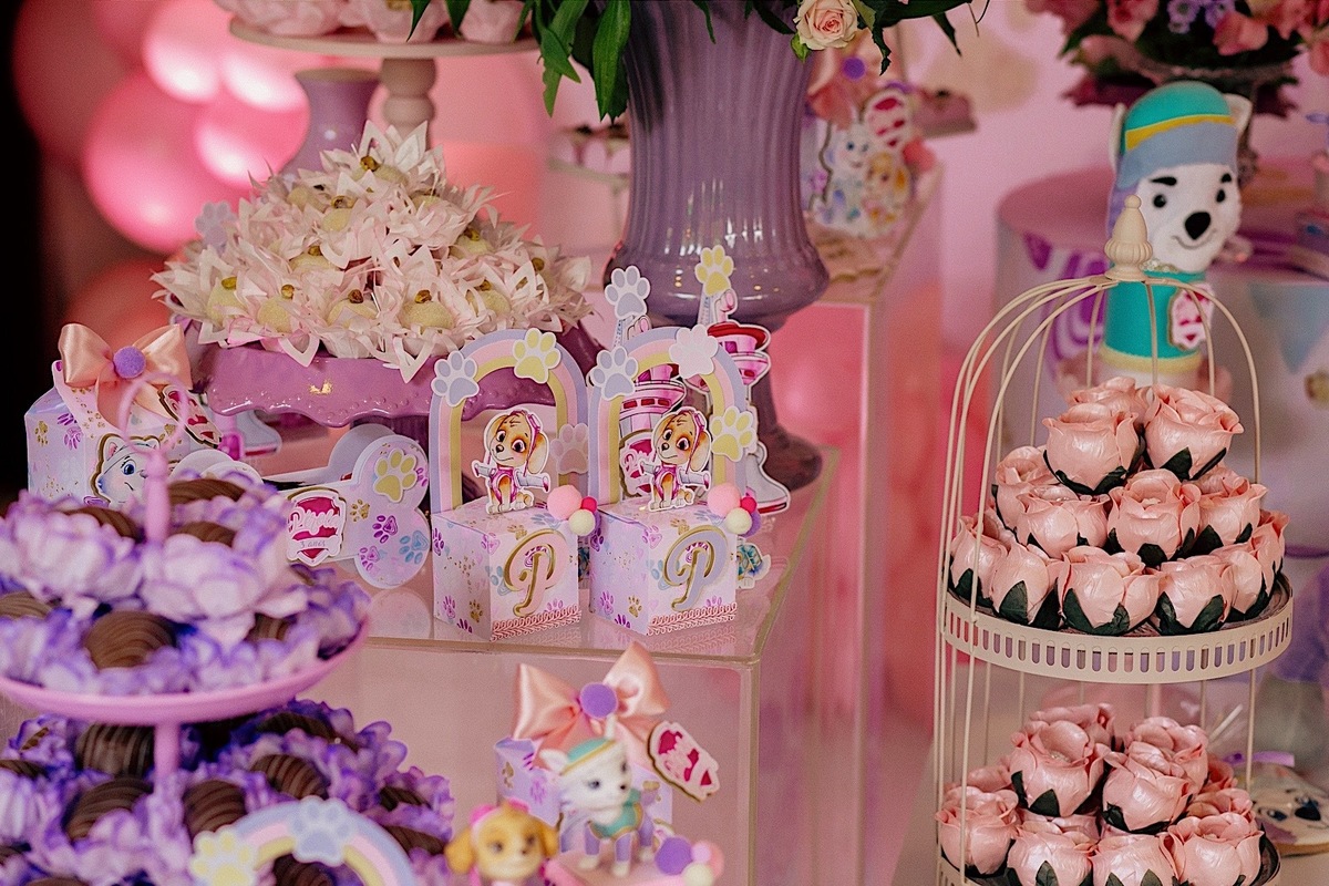 aniversario - aniversario infantil - festa de aniversario - fotografia infantil - fotografos jaragua do sul - tema patrulha canina - chroma fotografia 