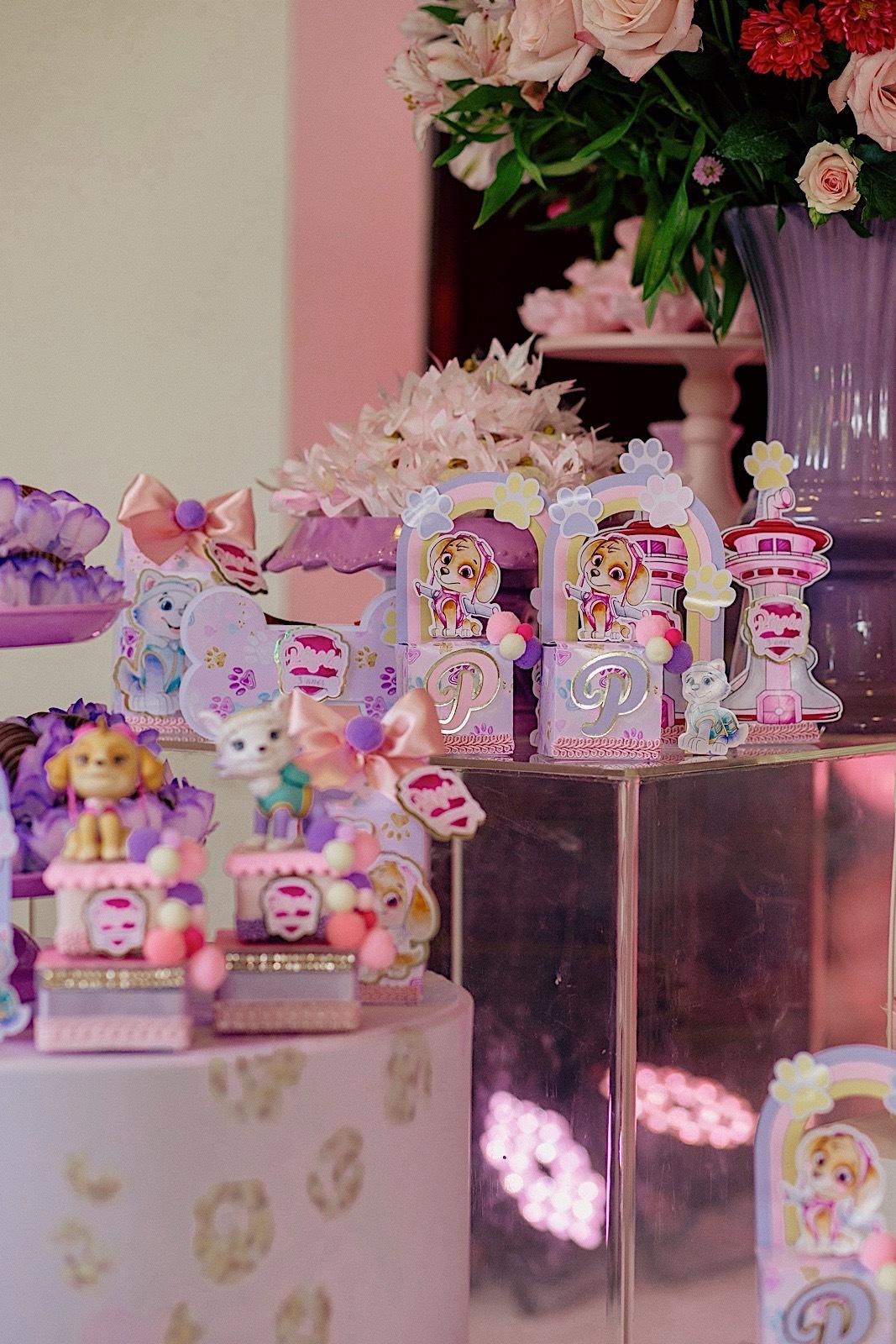 aniversario - aniversario infantil - festa de aniversario - fotografia infantil - fotografos jaragua do sul - tema patrulha canina - chroma fotografia 