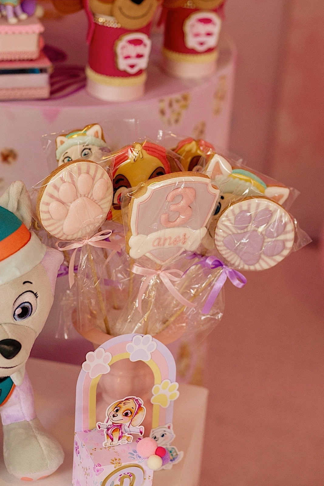 aniversario - aniversario infantil - festa de aniversario - fotografia infantil - fotografos jaragua do sul - tema patrulha canina - chroma fotografia 