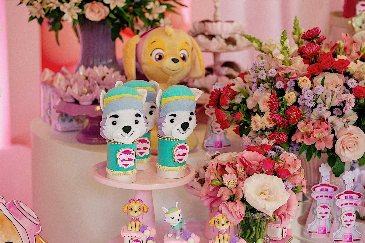 aniversario - aniversario infantil - festa de aniversario - fotografia infantil - fotografos jaragua do sul - tema patrulha canina - chroma fotografia 