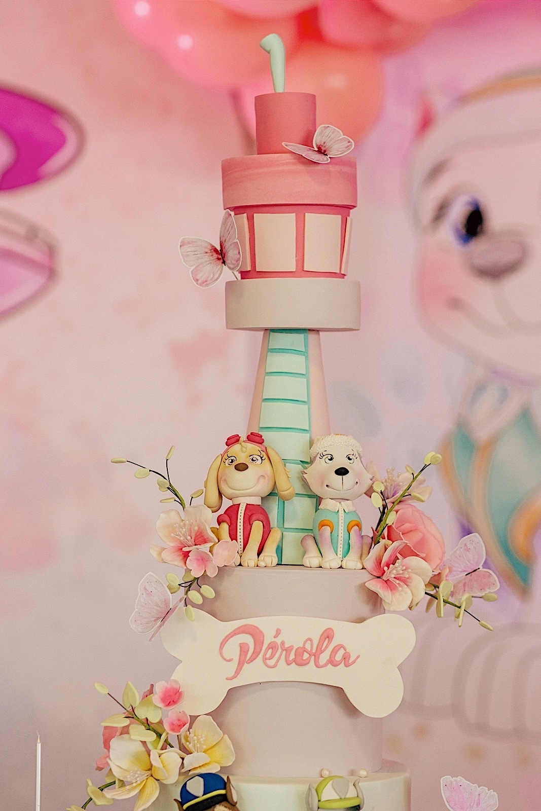 aniversario - aniversario infantil - festa de aniversario - fotografia infantil - fotografos jaragua do sul - tema patrulha canina - chroma fotografia 