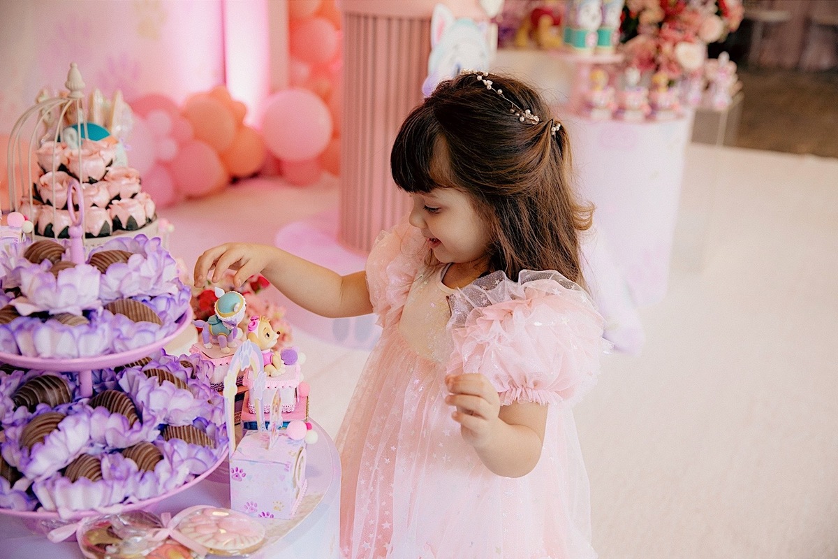 aniversario - aniversario infantil - festa de aniversario - fotografia infantil - fotografos jaragua do sul - tema patrulha canina - chroma fotografia 