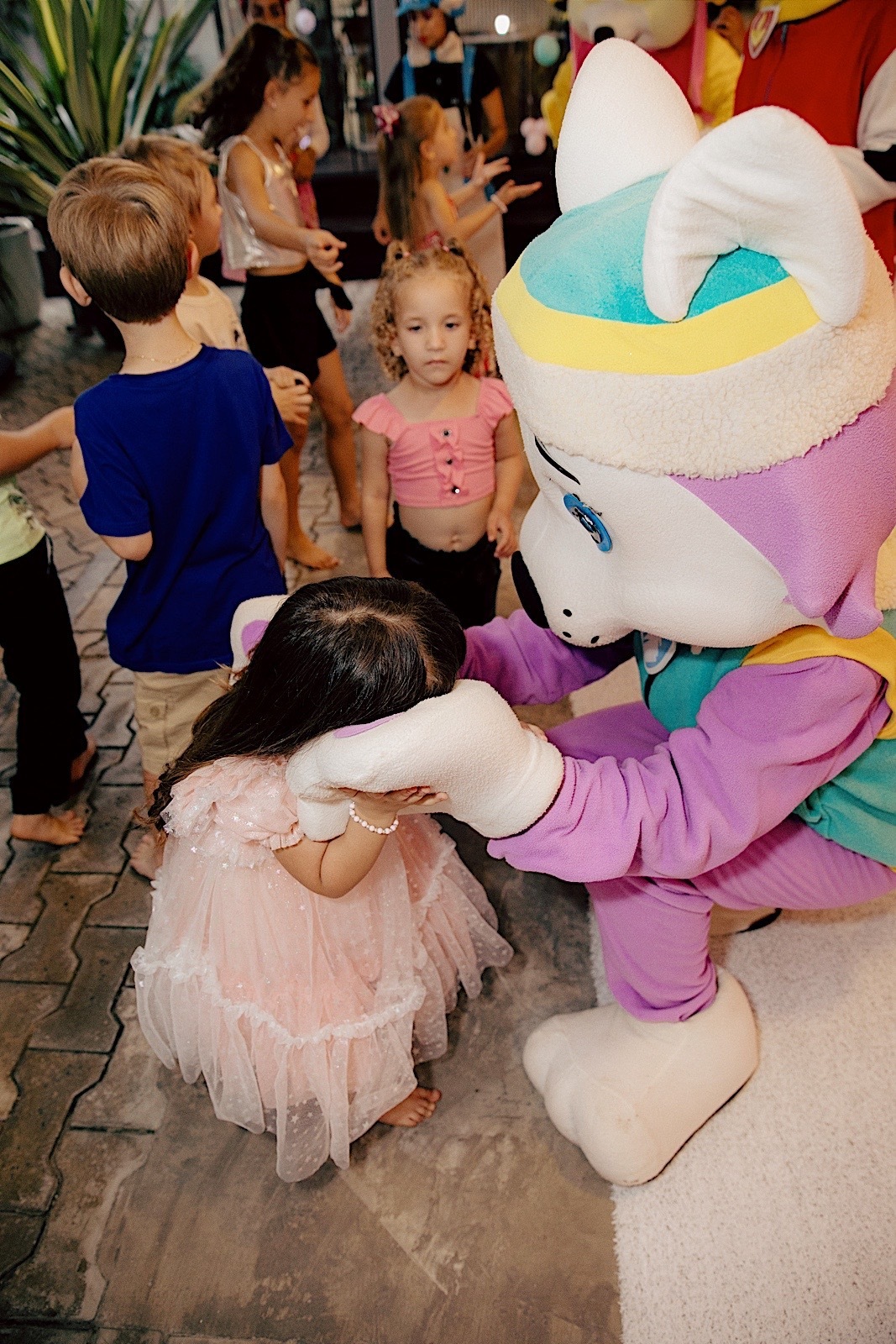 aniversario - aniversario infantil - festa de aniversario - fotografia infantil - fotografos jaragua do sul - tema patrulha canina - chroma fotografia 