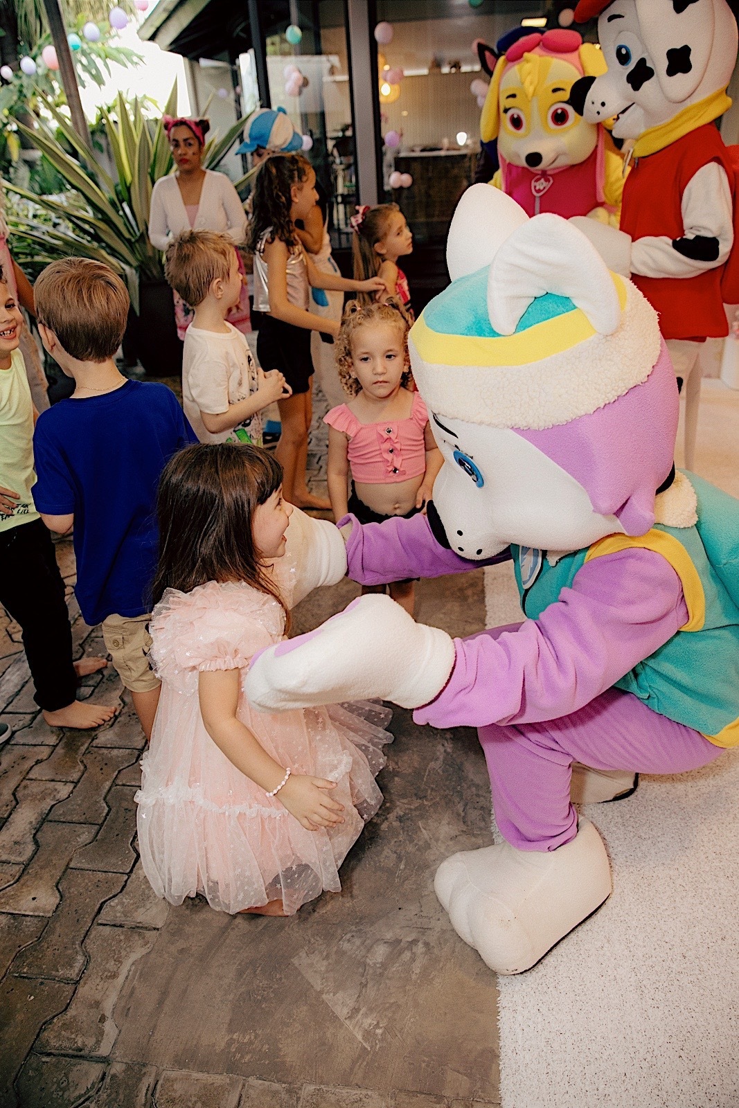 aniversario - aniversario infantil - festa de aniversario - fotografia infantil - fotografos jaragua do sul - tema patrulha canina - chroma fotografia 