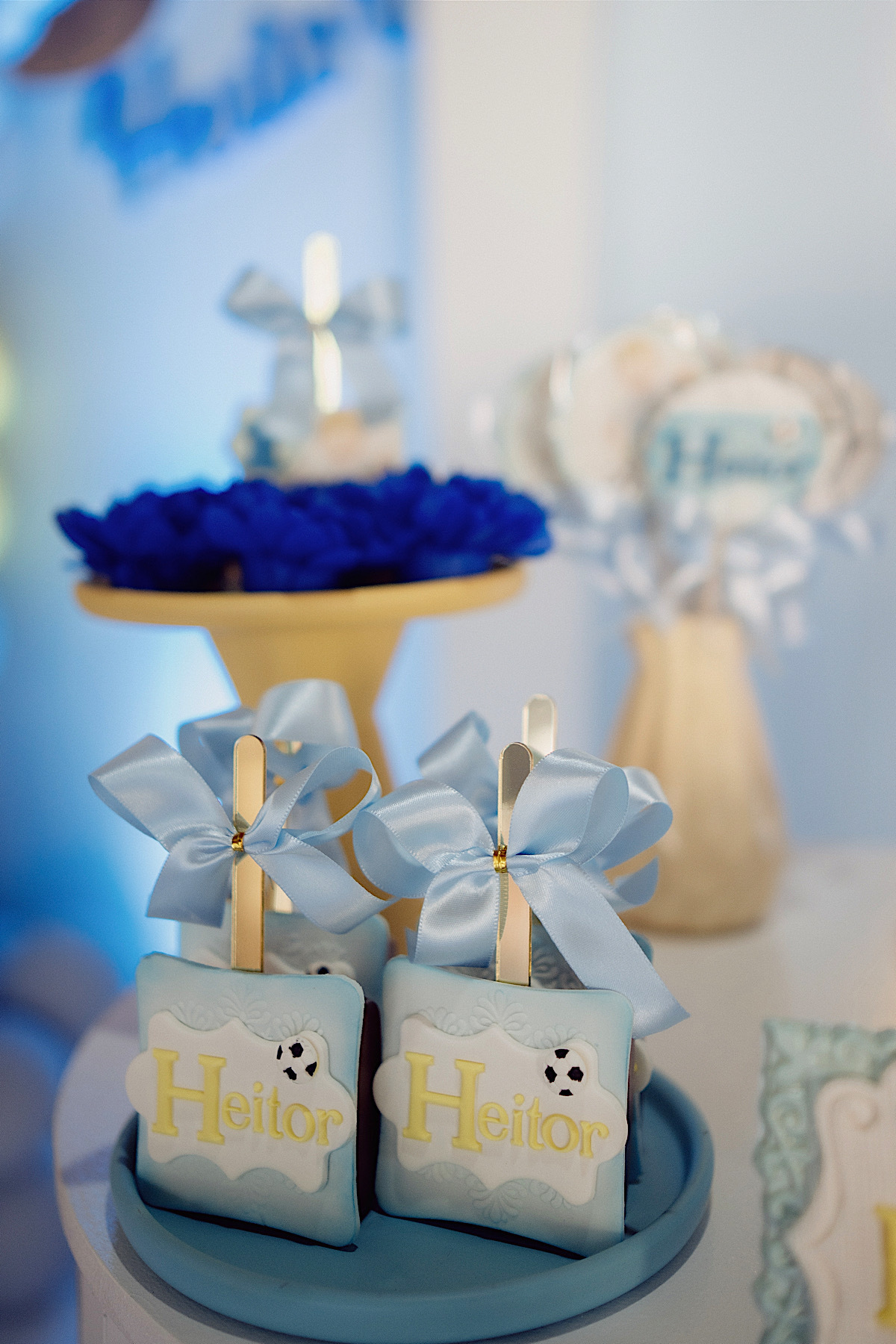 heitor - 1 ano - aniversario infantil - chroma fotografia - nereu ramos - jaragua do sul