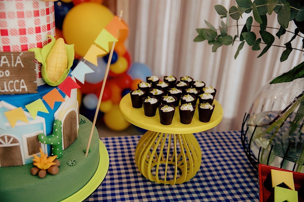 aniversario - aniversario infantil - festa de aniversario - tema junino - 1 no Lucca - fotografia infantil - fotografos jaragua do sul - chroma fotografia 