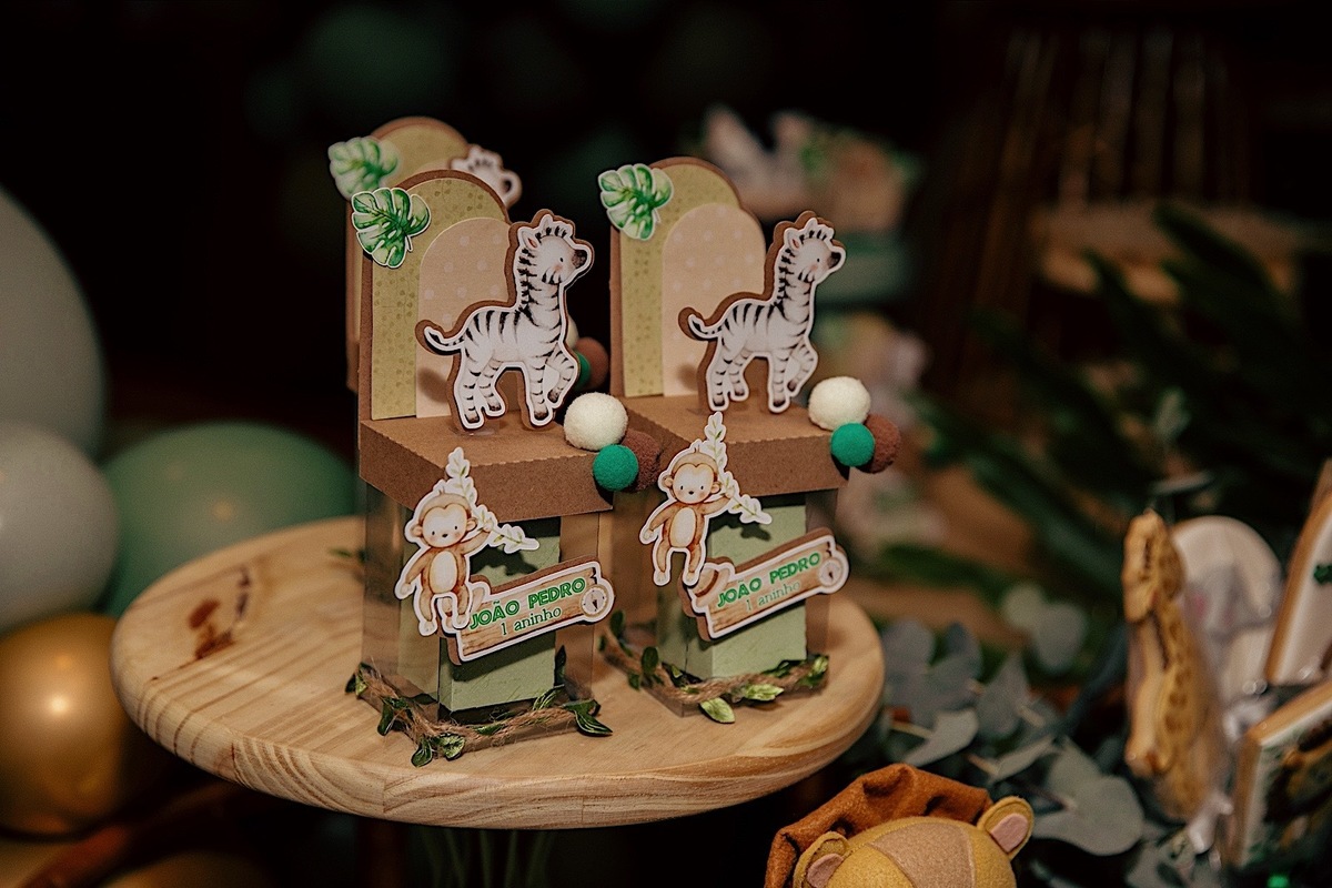 aniversario - aniversario infantil - tema safari - Joao pedro 1 ano - fotografia infantil - fotografos jaragua do sul - chroma fotografia 