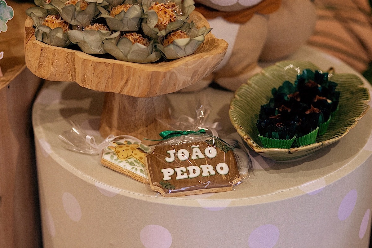 aniversario - aniversario infantil - tema safari - Joao pedro 1 ano - fotografia infantil - fotografos jaragua do sul - chroma fotografia 