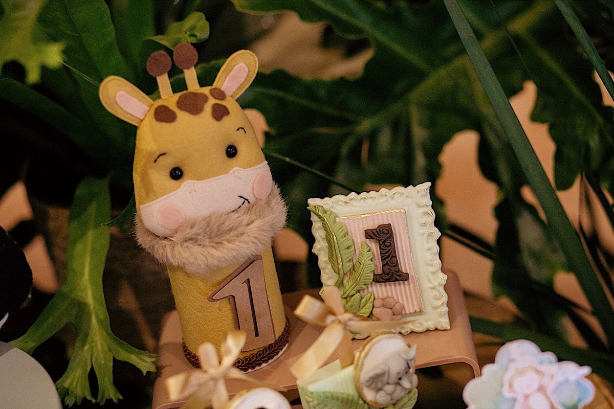 aniversario - aniversario infantil - tema safari - Joao pedro 1 ano - fotografia infantil - fotografos jaragua do sul - chroma fotografia 