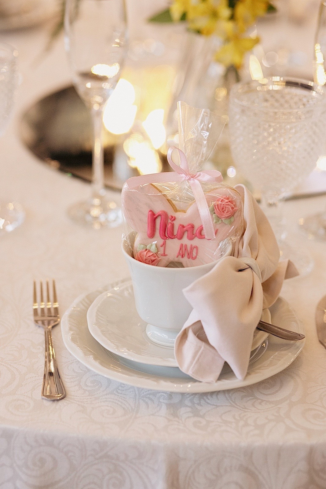 aniversario - aniverario infantil - festa de aniversario - aniversario de 1 ano - 1 ano Nina - fotografos jaragua do sul - fotografia infantil - chroma fotografia