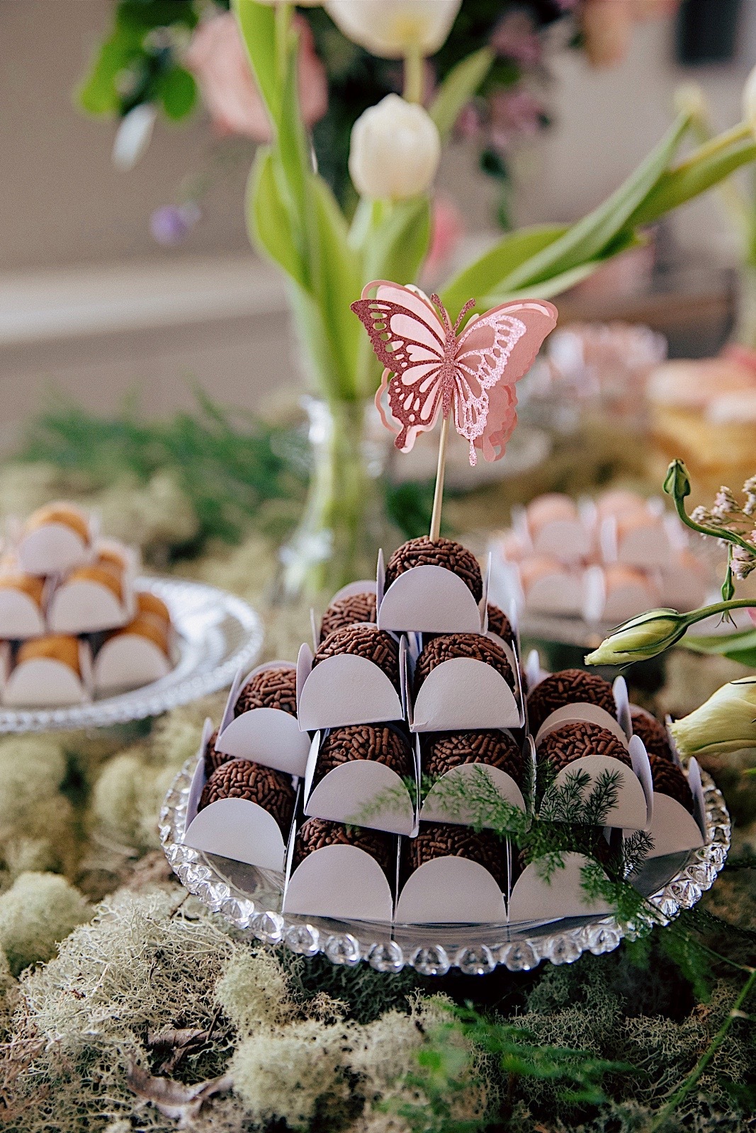 gestante - ensaio gestante - cha de bebe - cha de bebe a espera de aria - fotografos jaragua do sul - fotografia de familia - fotografia de gestante - chroma fotografia 