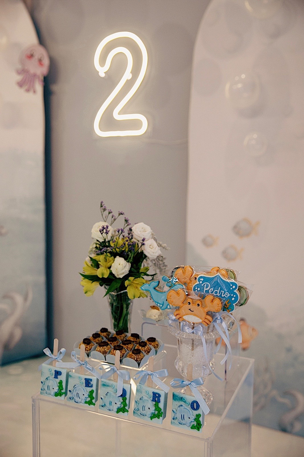 aniversario - aniversario infantil - festa de aniversario - Pedro 2 anos - fotografia infantil - fotografos jaragua do sul - chroma fotografia 