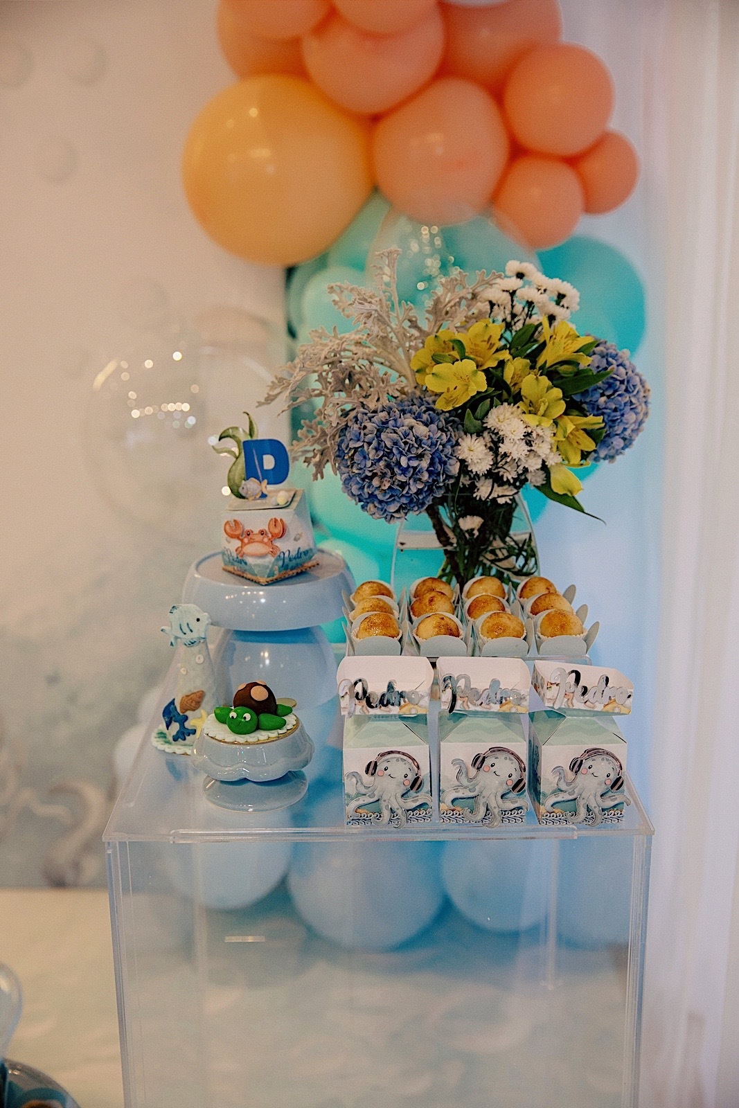 aniversario - aniversario infantil - festa de aniversario - Pedro 2 anos - fotografia infantil - fotografos jaragua do sul - chroma fotografia 