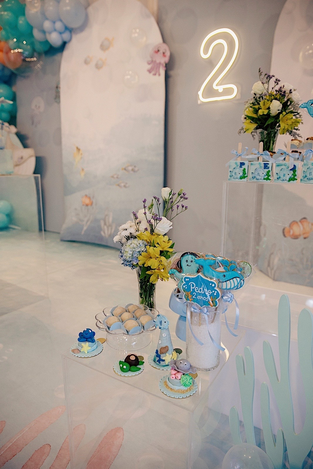 aniversario - aniversario infantil - festa de aniversario - Pedro 2 anos - fotografia infantil - fotografos jaragua do sul - chroma fotografia 