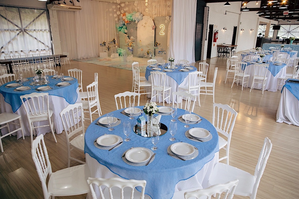 aniversario - aniversario infantil - festa de aniversario - Pedro 2 anos - fotografia infantil - fotografos jaragua do sul - chroma fotografia 